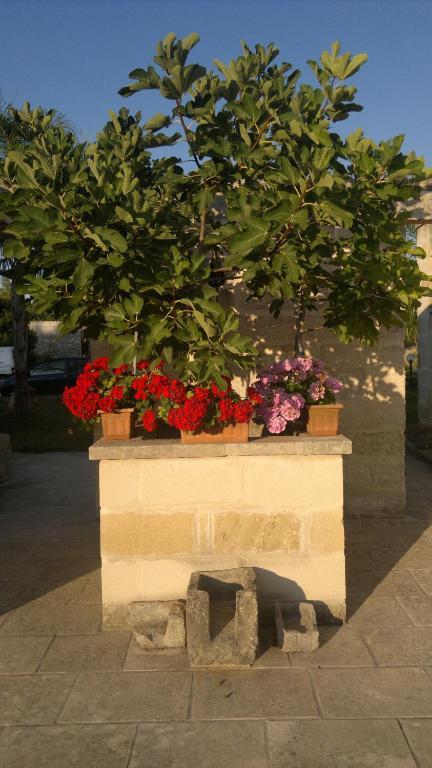 Hotel Masseria Grande Torre dell'Orso Exterior foto